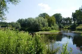 Foto unseres Kursortes